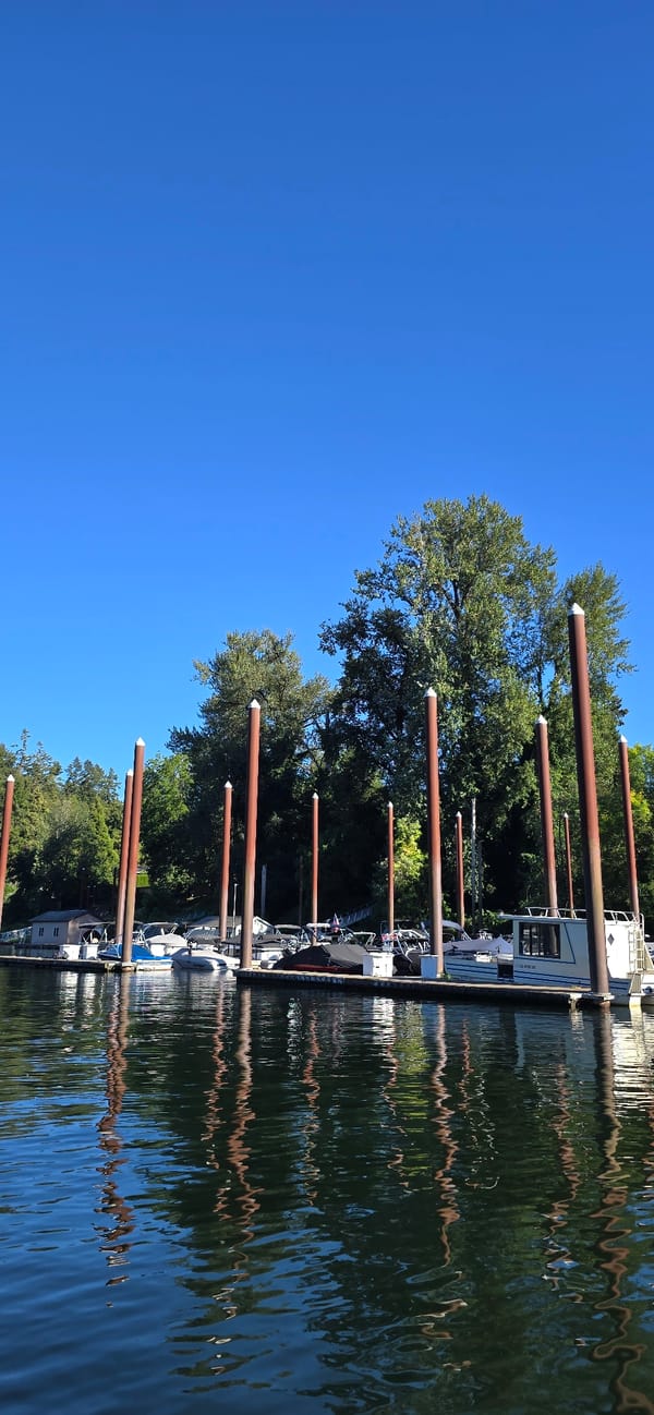 Calm marina day in Aurora, Oregon