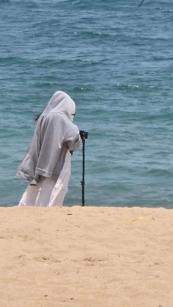 Tourist captures golden horse statue, coastal scenes in Nha Trang