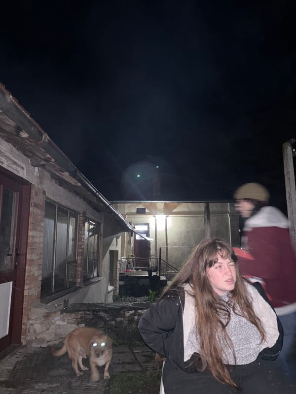 Nighttime fire pit gathering documented in Karlukovo, Bulgaria