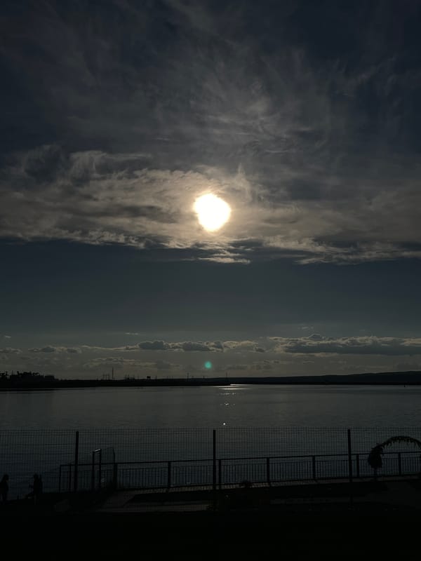 Fishing observed along Chaikovsky waterfront during afternoon hours