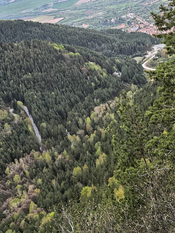 Panoramic mountain forest views captured near Sapareva Banya, Bulgaria