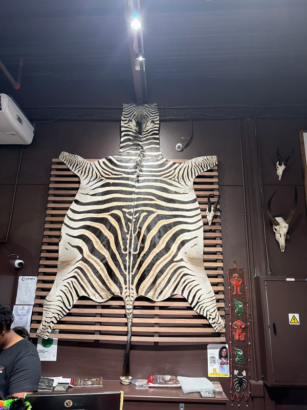 Cape Town room displays African decor, zebra rug, cultural photography