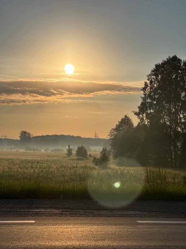 Dawn on a rural Russian highway, birds flying, road stretching ahead