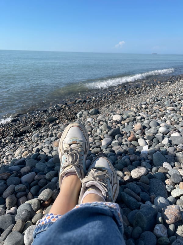 Black dog plays in waters around Batumi beaches