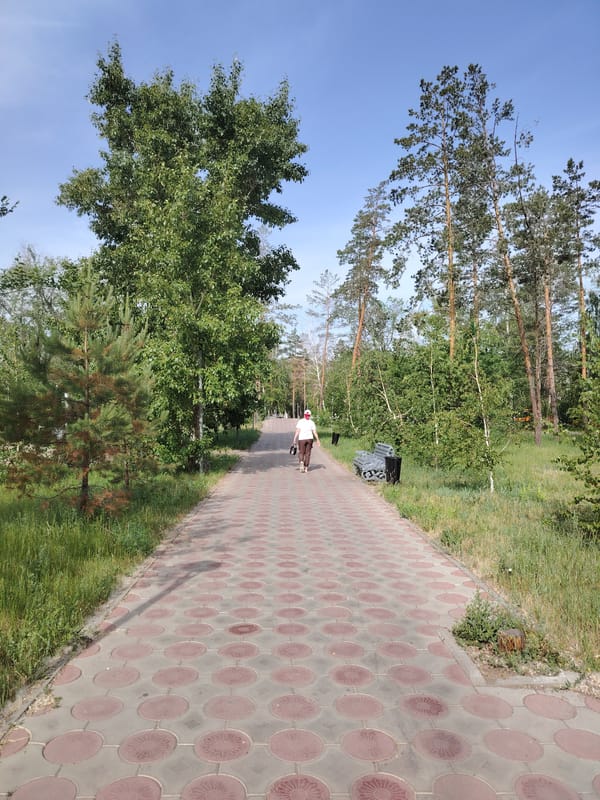 Morning nature scenes documented across Pavlodar parks and waterfront