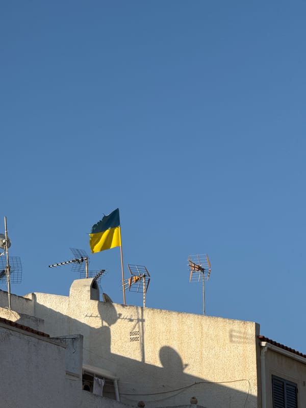 Mediterranean neighborhood stroll in Torrevieja, flora and street details