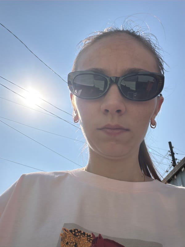 Sunny afternoon in Tambov — street scenes, birds, rooftops