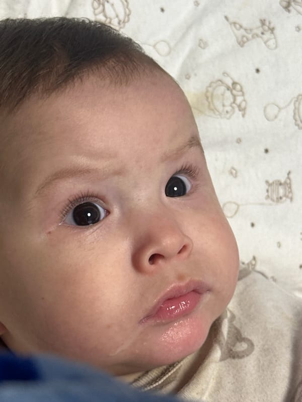 Children photographed in various indoor settings over afternoon hours