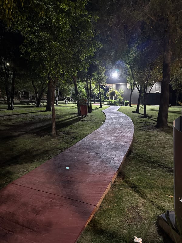 Late night basketball and park stroll documented in Puebla