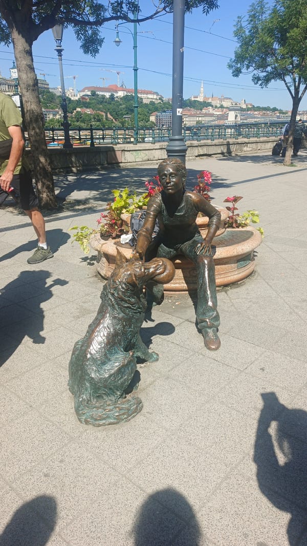 Tourist documents Budapest fountains, river boats, architecture Friday morning