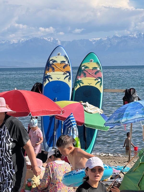 Paddleboards and calm water on a busy beach morning