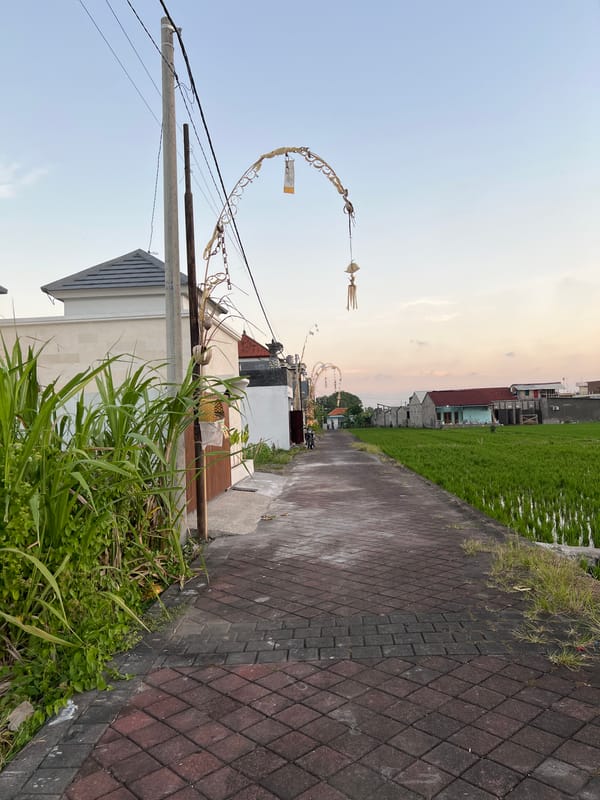Morning in Mengwi: rice paddies, offerings, and everyday Balinese life