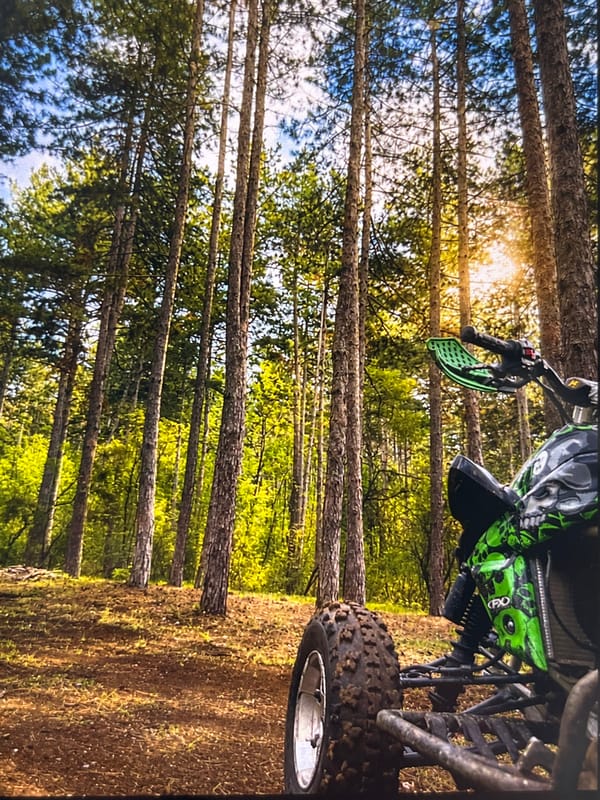 ATV and reflective table documented in wooded outdoor setting