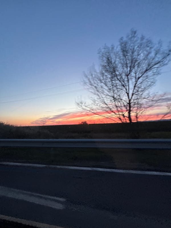 Dusk scene captured with bare tree against colorful sky in Burgas