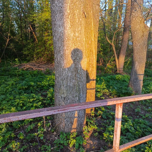 Ordinary morning moments documented across Chaikovsky, Russia
