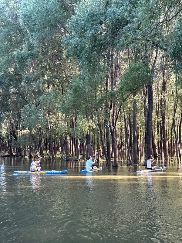 Paddleboarding and river leisure on a Novosibirsk summer afternoon
