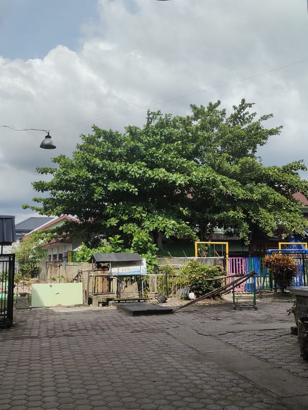 Tree and residential buildings observed in Kutalhoksukon, Indonesia