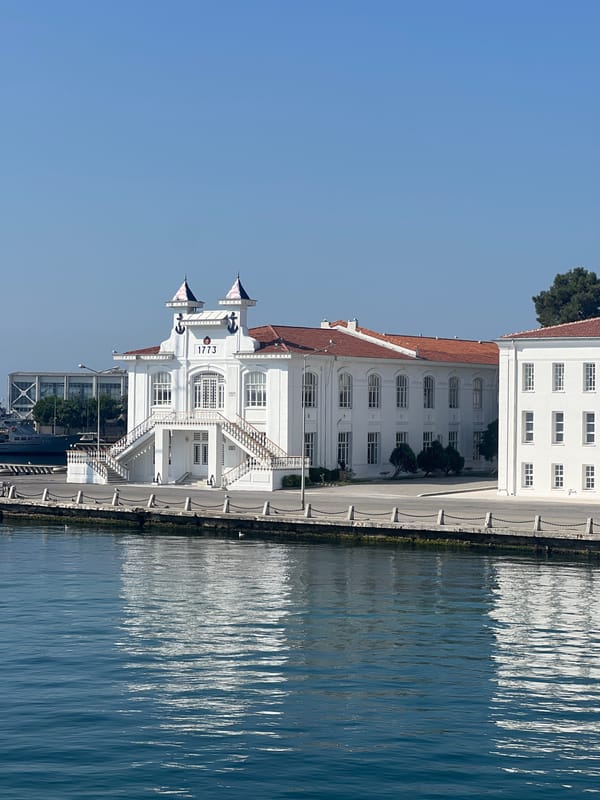 Prince Islands, Istanbul: waterfront buildings and forested hills from sea level to aerial