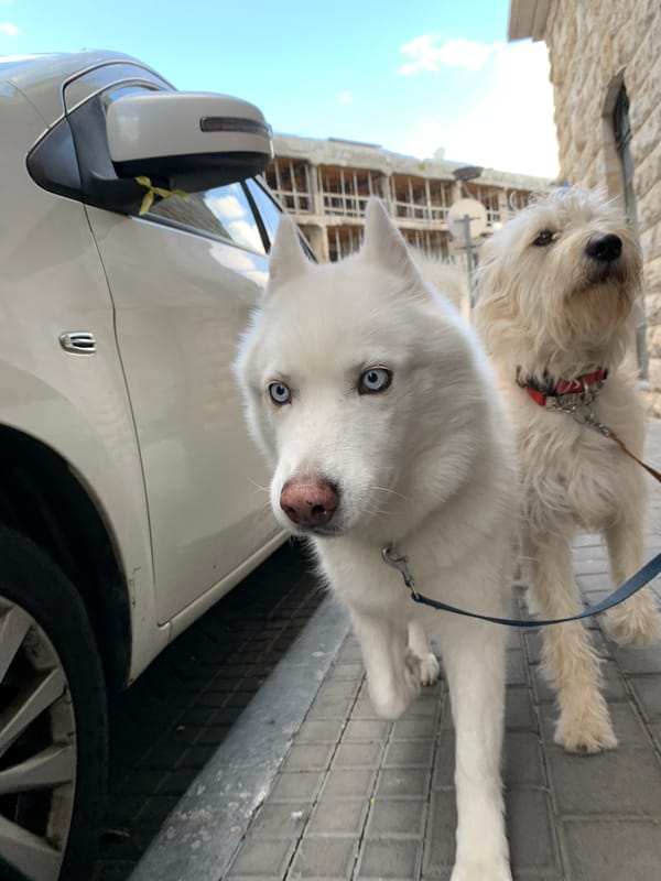 Ordinary afternoon moments documented across Tel Aviv neighborhoods