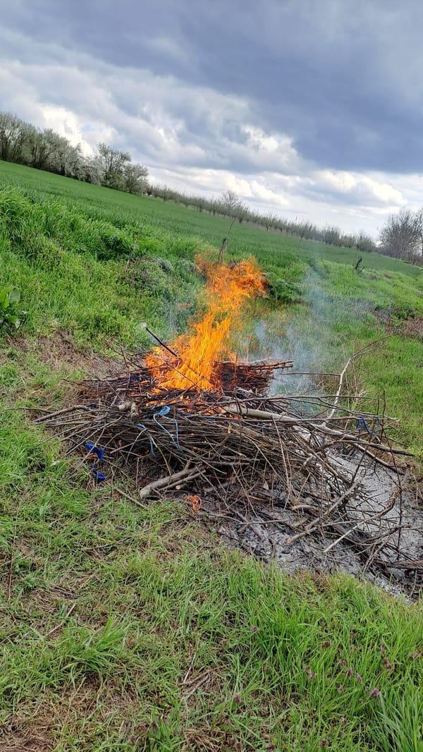 Bonfire burns in Bulgarian field near Profesor Ishirkovo
