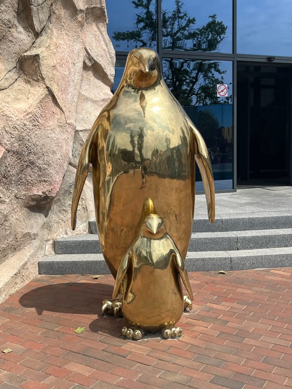 Penguins, cranes, and macaws at Kharkiv's Feldman Ecopark