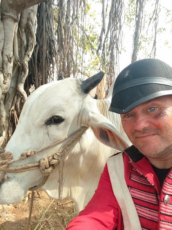 Man in red uniform poses with white cow in Lakshmipuram