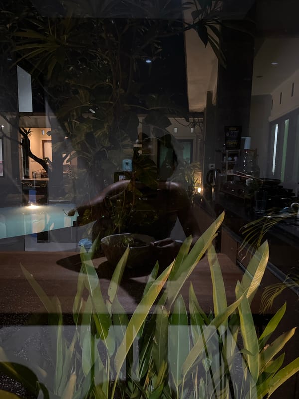 Art displays and domestic scenes documented in Indonesia