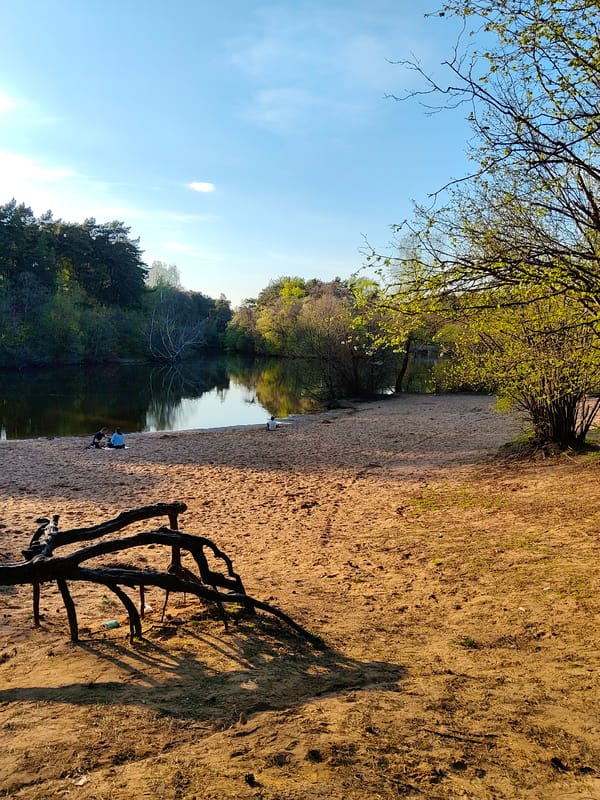 Lakeside recreation: fishing and paddleboarding captured at sandy beach