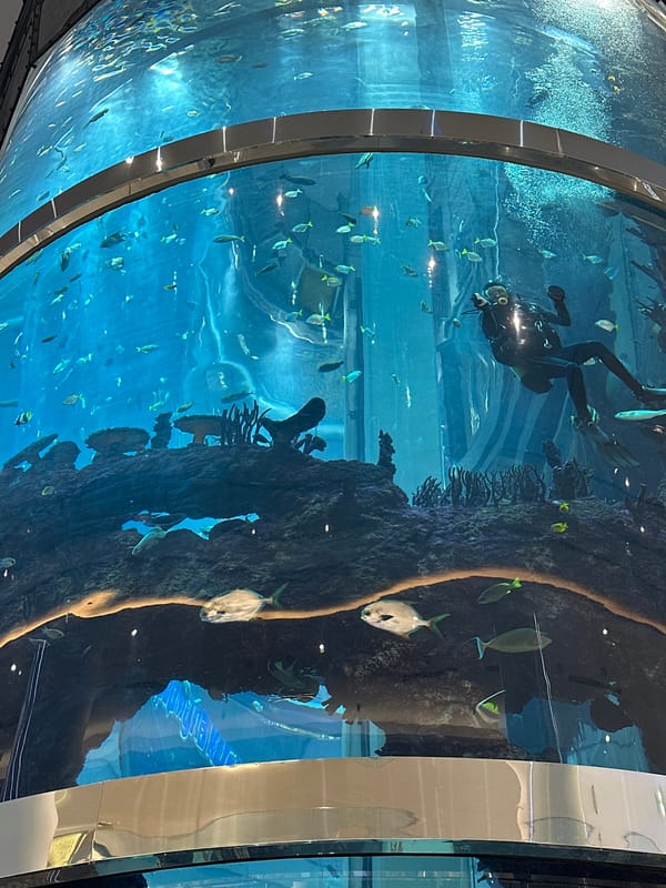 Scuba diver spotted in Moscow public aquarium