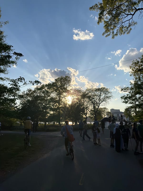 Evening scenes captured across Boston's parks and riverfront
