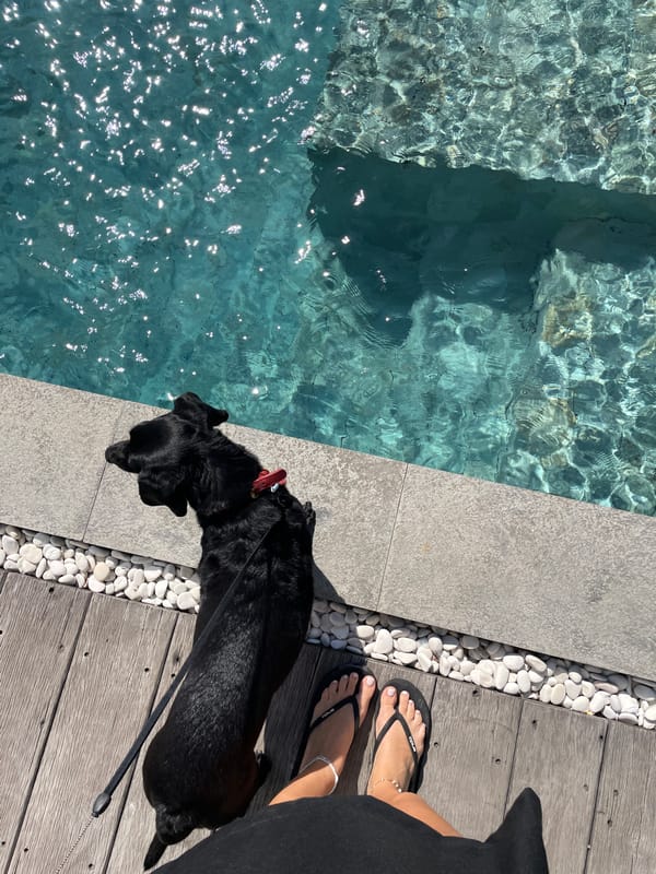 Lazy villa morning in Kediri with pets, poolside views, and selfies