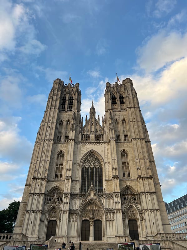 Evening views of Brussels Cathedral from multiple angles