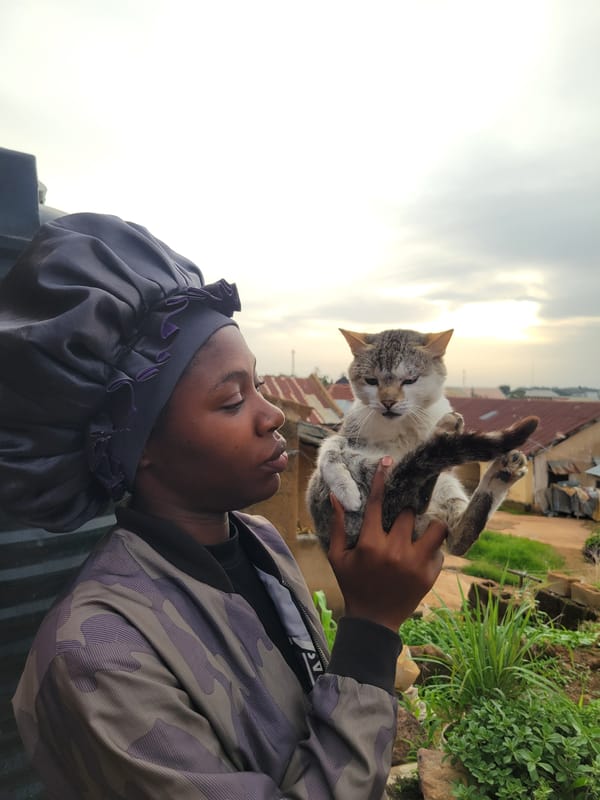 Everyday life documented in Jos residential neighborhood over afternoon