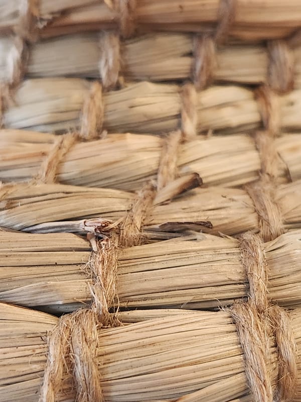 Macro textures of natural fibers, woven goods, and cowrie shells