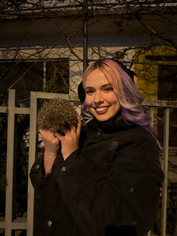 Woman with colorful hair poses with hedgehog in Zagreb