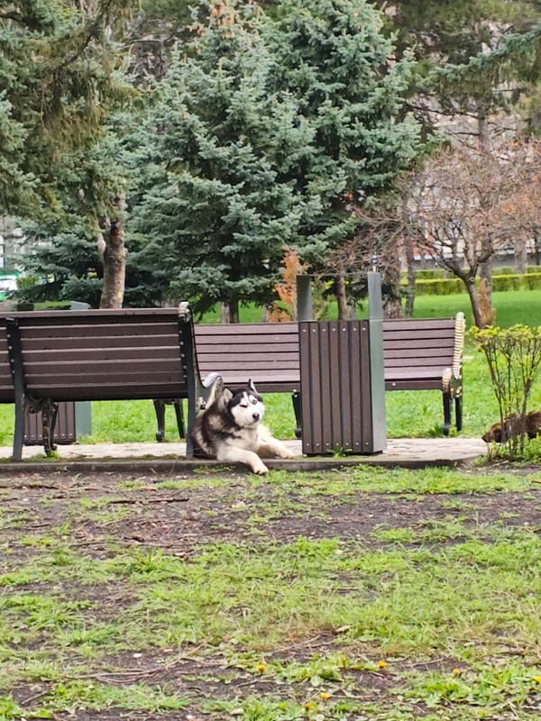 Early morning life documented across Pyatigorsk, Russia