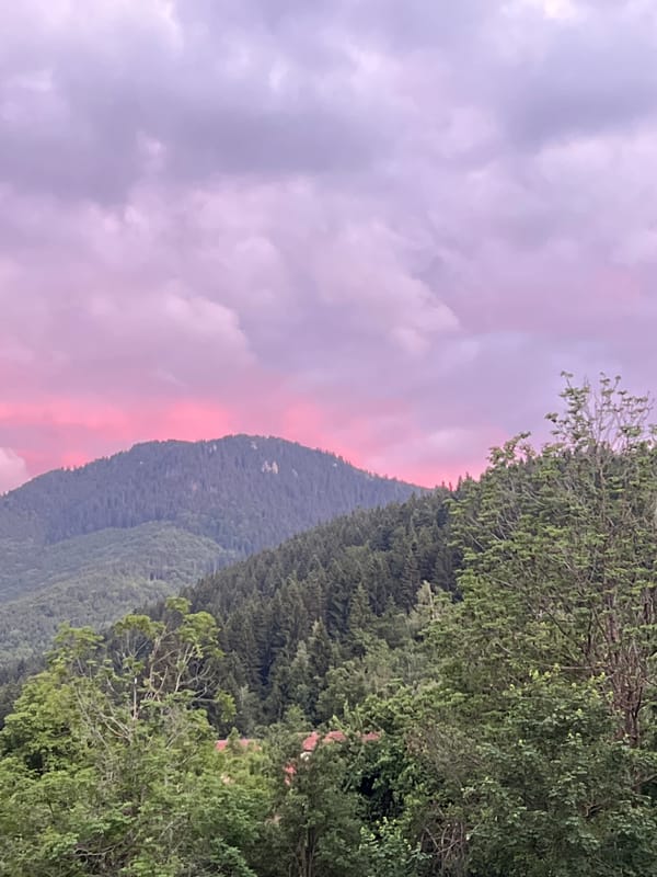 Mountain valley at dusk, forests and village under pastel skies