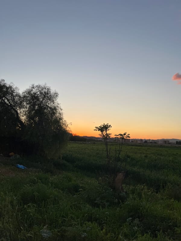 Sunset landscape scenes documented across Fez, Morocco
