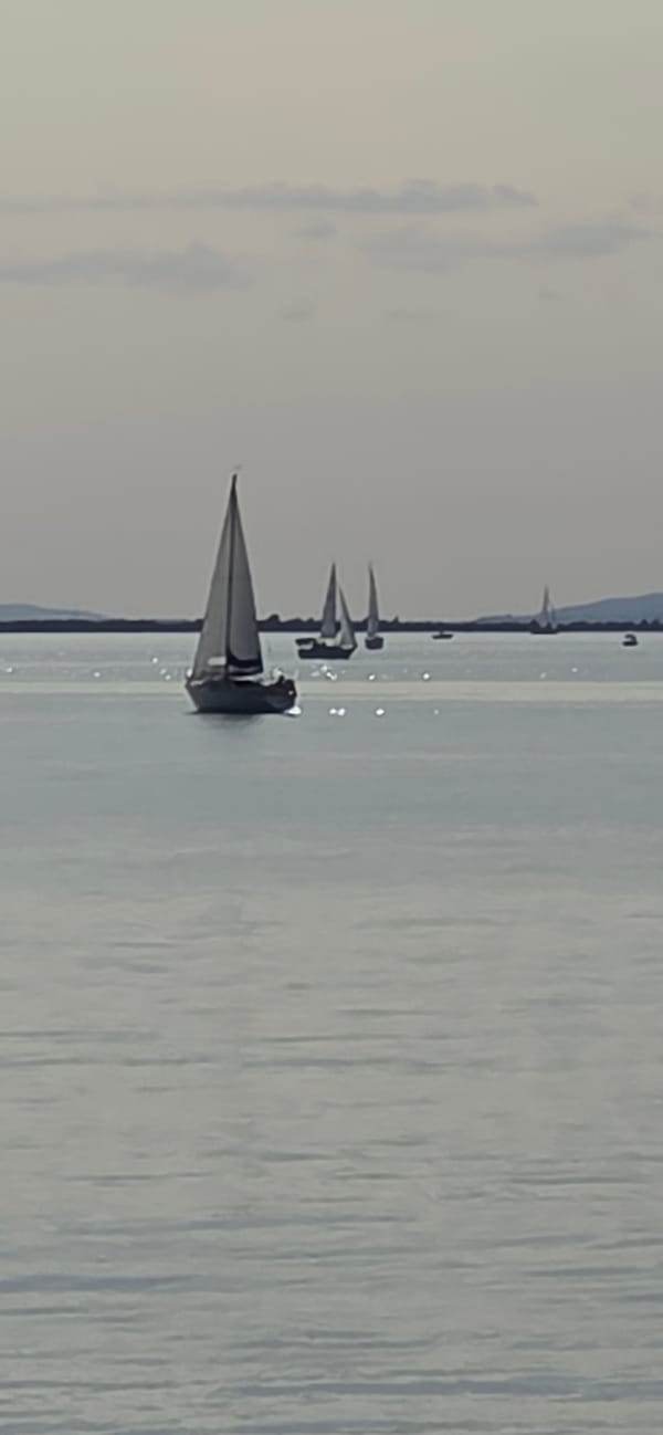 Sailboats on Lake Constance under an overcast Alpine sky