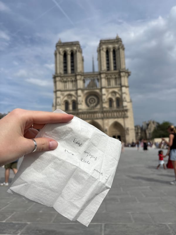 Afternoon scenes around Notre Dame Cathedral in Paris