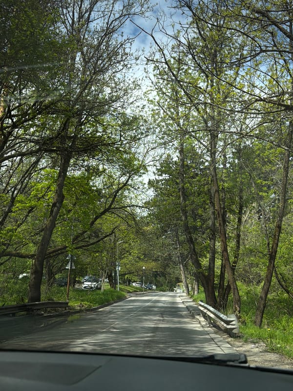Tree-lined park road documented in Sofia, Bulgaria