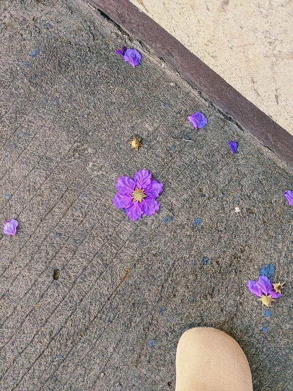 Morning walk documented through Davao City park and landmarks