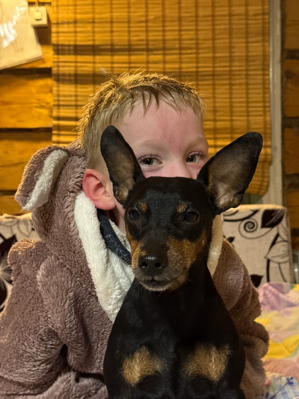Child and dog share warm moment in Rosstani home
