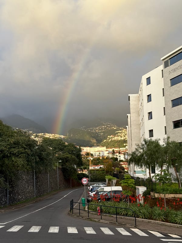 Rainbow arcs over Funchal valley amid white buildings