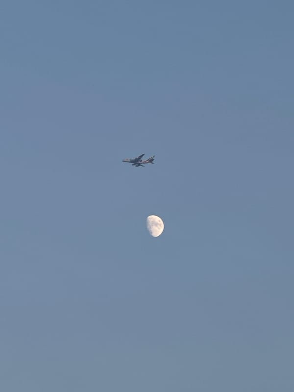 Sky full of planes, a swift, and the moon over London
