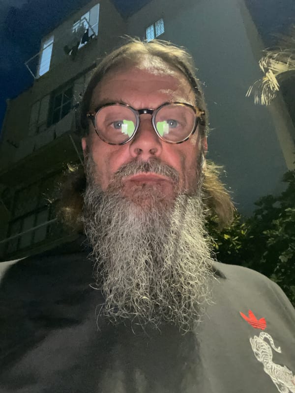 Late-night sidewalk scene in Netanya with dogs and selfies