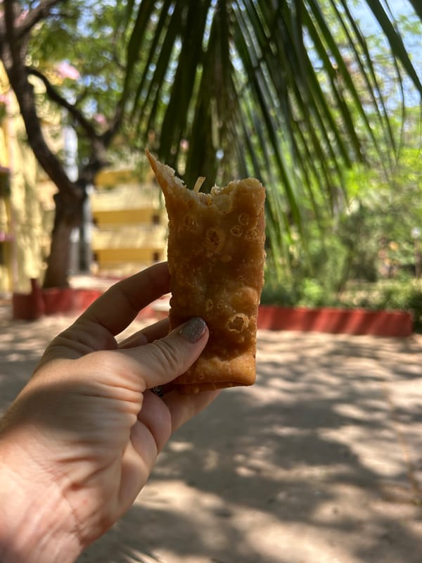 Woman takes selfie in Puttaparthi park amid traditional architecture
