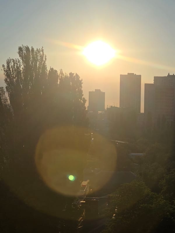 Summer evening in Kyiv: streets, flowers, and quiet city life