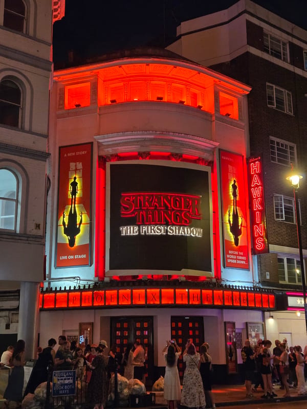 Phoenix Theatre draws crowds for Stranger Things play