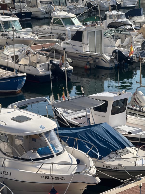 Morning views of Bermeo's harbor and colorful Basque architecture